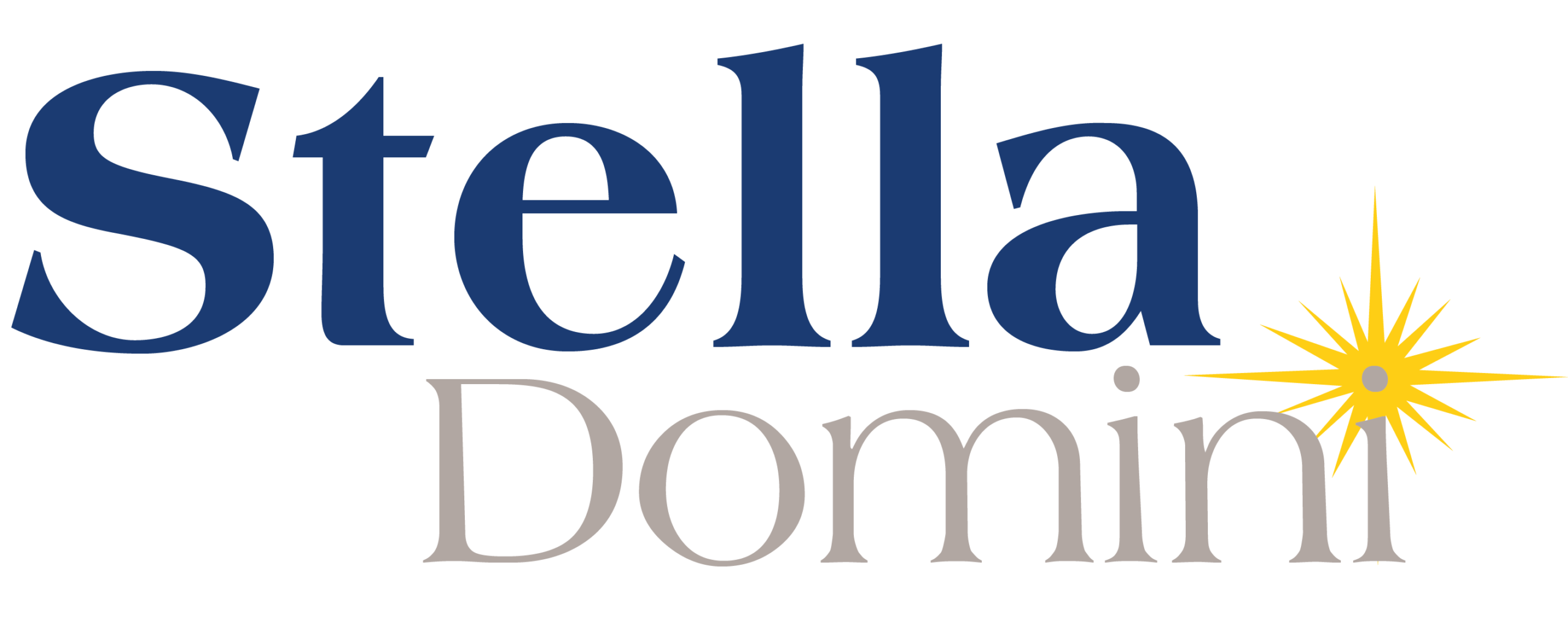 Logo - Stella Domini