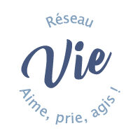 Logo - Réseau VIE